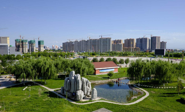 甘肃城市绿化草坪.png 甘肃城市绿化草坪.png